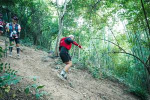 BIB: 
                            <button type="button" onclick="openModal(28161092)" class="btn btn-primary btn-sm float-right btn-popup" data-toggle="modal" data-target=".modal-high-quality">
                        <i class="fas fa-shopping-cart"></i> Add to Cart
                    </button>
                                            <button type="button" onclick="isThisMe(28161092, true)" class="btn btn-success btn-sm float-right btn-popup btn-isme hidden" data-toggle="tooltip" data-placement="bottom" title="นี่คือรูปของคุณใช่ไหม คลิกที่นี่เพื่อเอาเข้าอัลบั้ม">
                        <i class="fas fa-plus"></i> Add to album
                    </button>
                    <button type="button" onclick="isThisMe(28161092, false)" class="btn btn-warning btn-sm float-right btn-popup btn-isnotme hidden">
                        <i class="fas fa-ban"></i> Remove from album
                    </button>